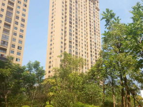 福清三福龙景,元华路8号 福州福清三福龙景二手房 租房 房价
