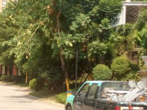 福清三福龙景,元华路8号 福州福清三福龙景二手房 租房 房价